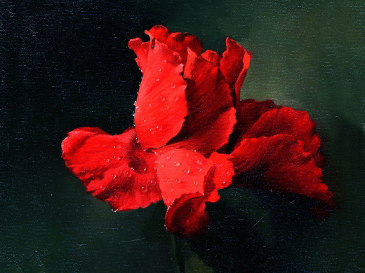 300945 (a): :1600x1200